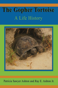 Gopher Tortoise