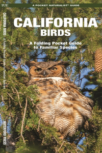 California Birds