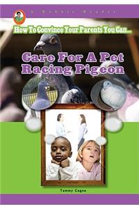 Care for a Pet Racing Pigeon