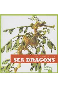 Sea Dragons