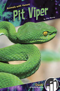 Pit Viper