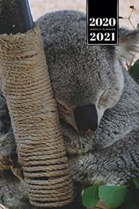 Koala Bear Rainforest Week Planner Weekly Organizer Calendar 2020 / 2021 - Time to Sleep