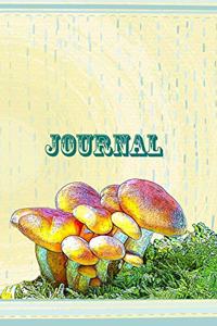 Journal