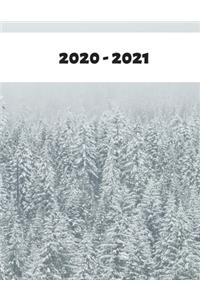 2020-2021