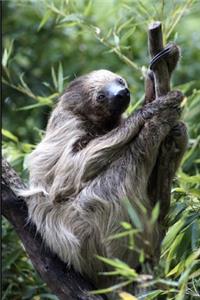 Good Morning, Sloth Journal
