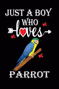 Just a Boy Who Loves Parrot