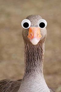 Googly Eye Goose Journal