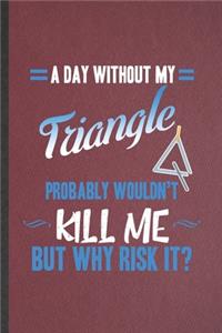 A Day Without My Triangle Probably Wouldn't Kill Me but Why Risk It