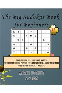 The Big Sudokus Book for Beginners #2