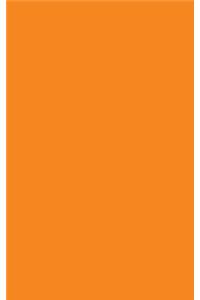 Portable Notebook: Orange