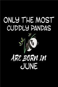 Only The Most Cuddly Pandas Are Born In June