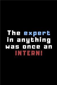 The Expert in Anything Was Once an Intern!