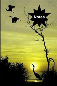 Notes