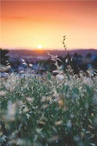 Sunset Notebook - Beautiful Dawn
