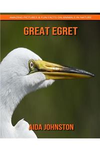 Great Egret: Amazing Pictures & Fun Facts on Animals in Nature