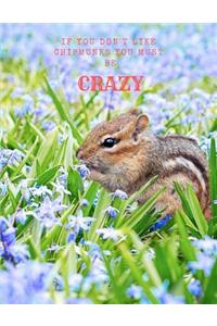 If You Don't Like Chipmunks You Must Be Crazy