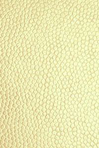Champagne Gold Notebook Leather Style