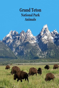 Grand Teton National Park Animals Kids Book