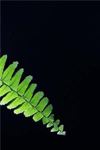 Fern Notebook