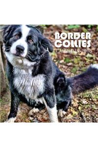 Border Collies Calendar 2018