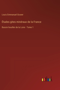 Études gites minéraux de la France: Bassin houiller de la Loire - Tome 1