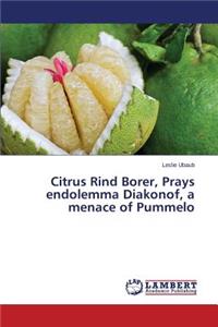 Citrus Rind Borer, Prays endolemma Diakonof, a menace of Pummelo