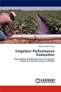 Irrigation Performance Evaluation