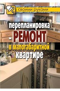 Remodeling and Repair in a Small Apartment