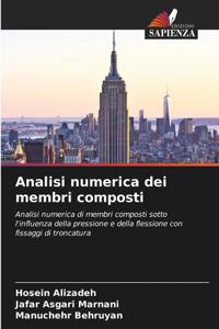 Analisi numerica dei membri composti