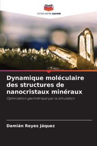 Dynamique moléculaire des structures de nanocristaux minéraux