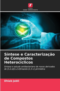 Síntese e Caracterização de Compostos Heterocíclicos