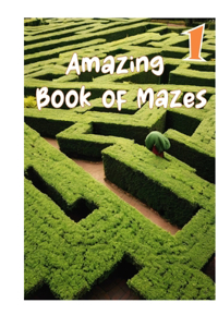 Amazing Book of Mazes 1