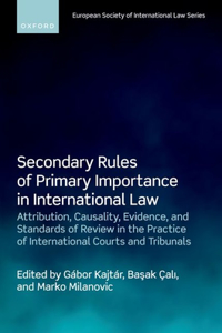 Secondary Rules of Primary Importance in International Law