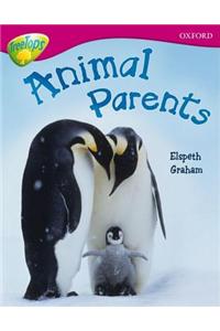 Oxford Reading Tree: Level 10A: TreeTops More Non-Fiction: Pack (6 books, 1 of each title)