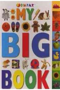 Big Tab Book - my Big Book