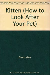 How To Look After Your Pet: 1 Kitten