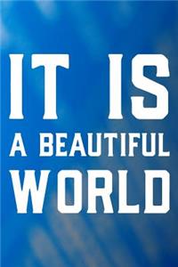 It Is A Beautiful World