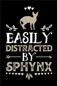 Easily Distracted By Sphynx