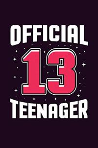 Official 13 Teenager