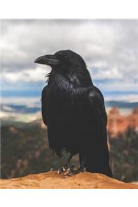 Call of the Crow Blank Sheet Music
