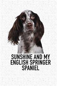 Sunshine and My English Springer Spaniel