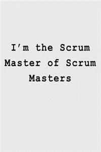 I'm the Scrum Master of Scrum Masters