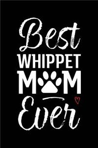 Best Whippet Mom Ever