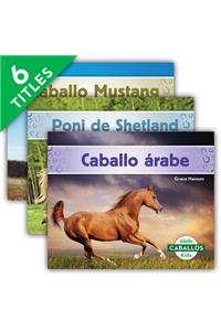 Caballos Set 2 (Horses Set 2) (Set)