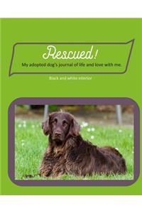 Rescued! My adopted dog's journal of life and love with me.