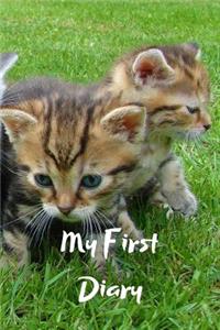 My First Diary