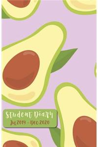 Student Diary Jul 2019 - Dec 2020