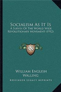 Socialism as It Is: A Survey Of The World Wide Revolutionary Movement (1912)