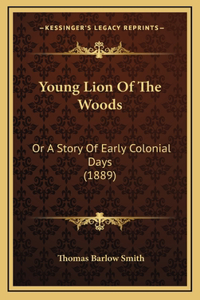 Young Lion Of The Woods
