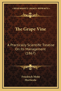 The Grape Vine